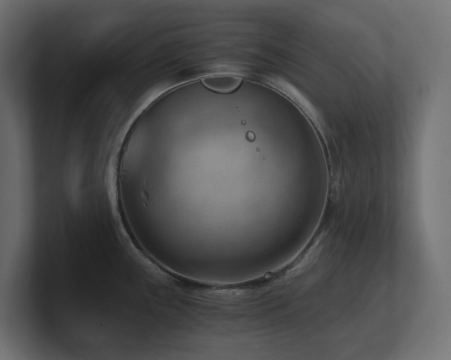 X0000100931243200806241358