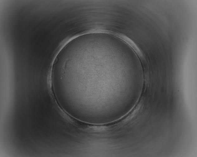 X0000100931244200806241358