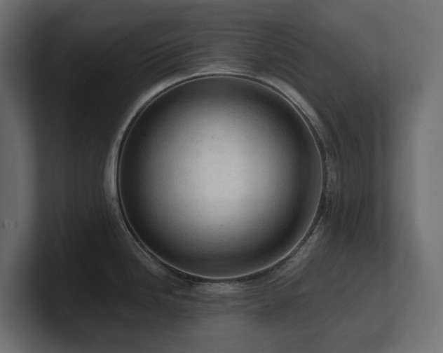 X0000100931246200806241358