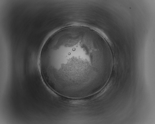 X0000100931247200806241358