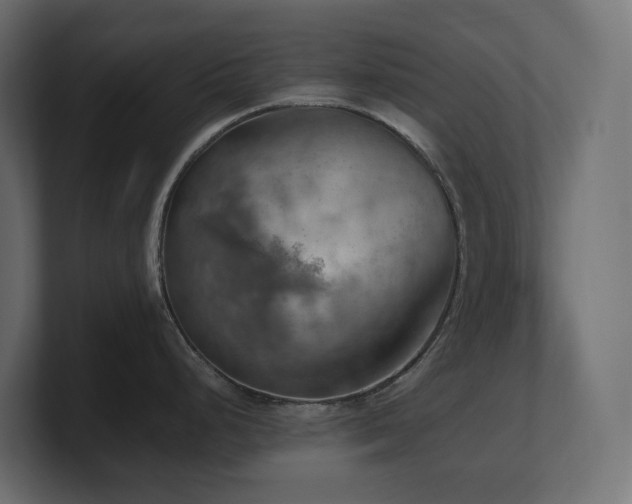 X0000100931248200806241358