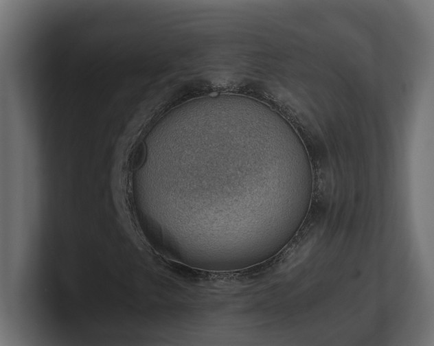 X0000100931249200806241358