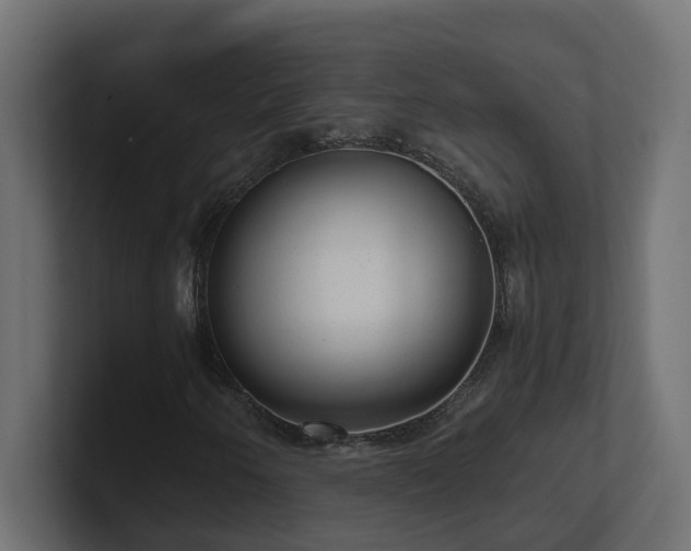 X0000100931250200806241358