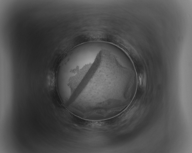 X0000100931251200806241358