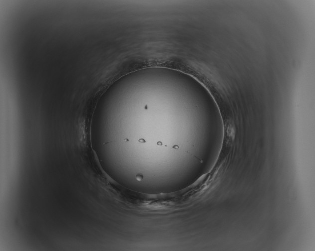 X0000100931252200806241358