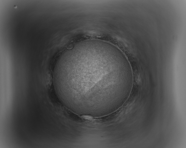 X0000100931253200806241358