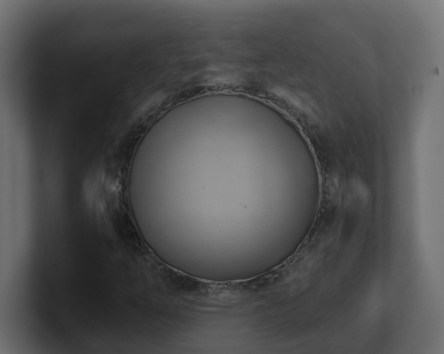 X0000100931254200806241358