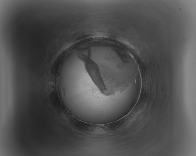 X0000100931255200806241358