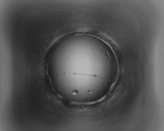 X0000100931256200806241358