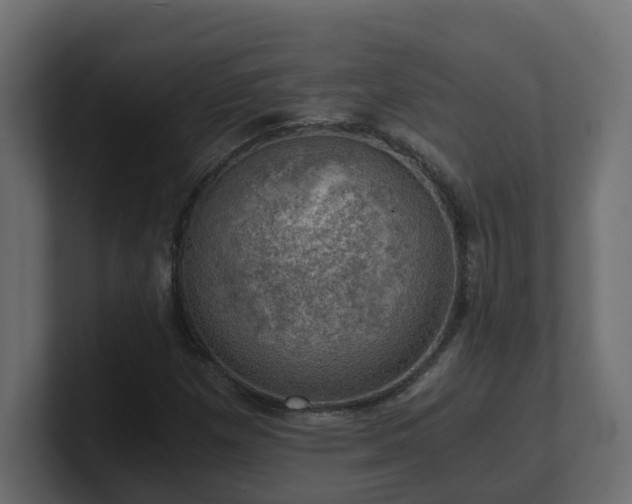 X0000100931257200806241358