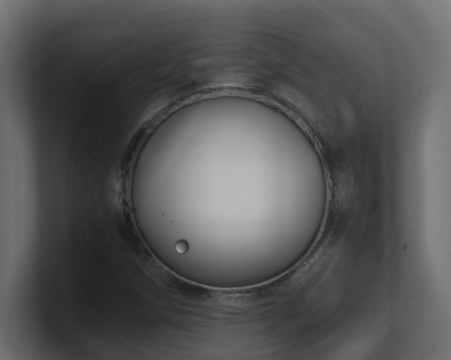 X0000100931258200806241358