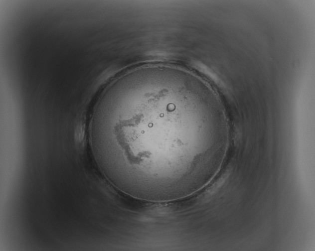 X0000100931259200806241358