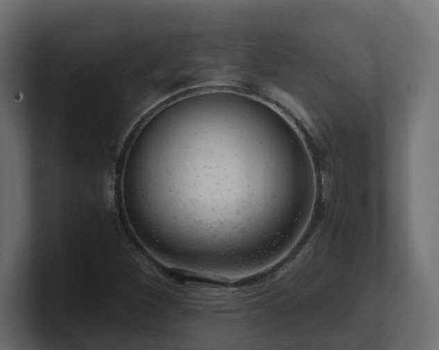 X0000100931260200806241358