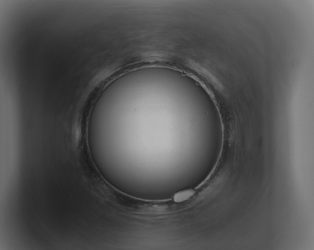 X0000100931261200806241358