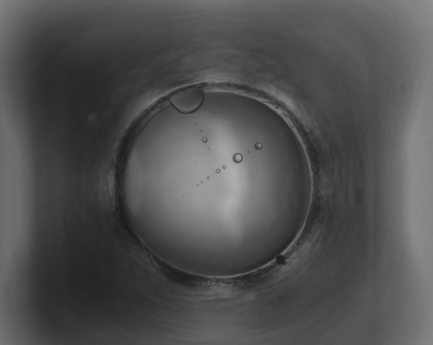 X0000100931263200806241358