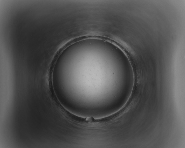 X0000100931264200806241357