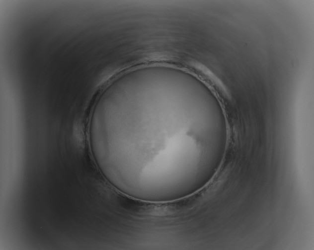 X0000100931266200806241357