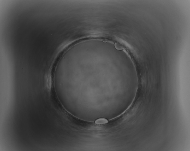 X0000100931267200806241357