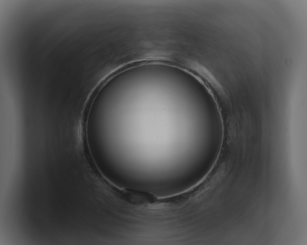 X0000100931268200806241357