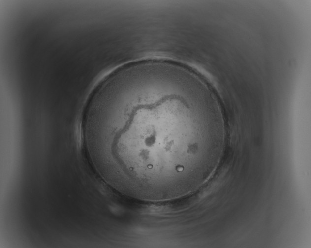 X0000100931271200806241357