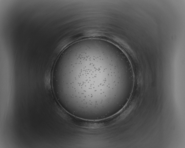 X0000100931273200806241357