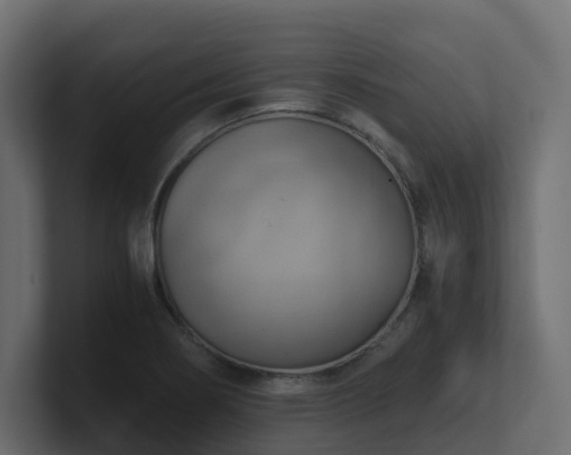 X0000100931274200806241357