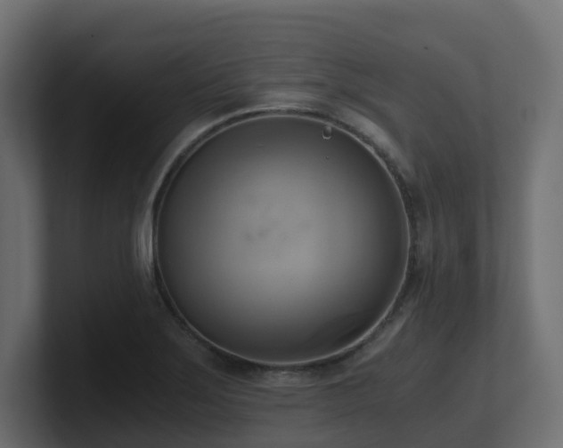 X0000100931275200806241357