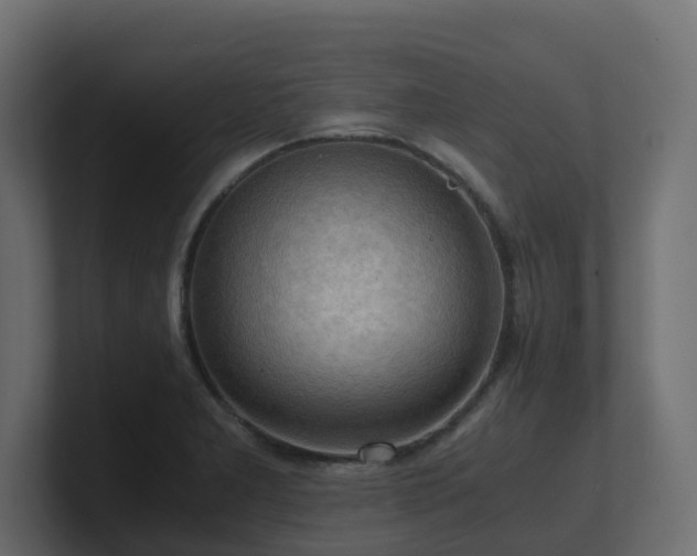 X0000100931277200806241357