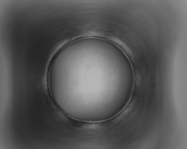 X0000100931278200806241357