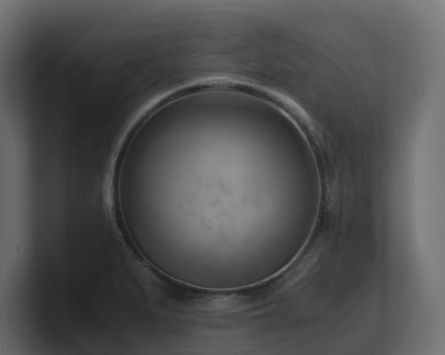 X0000100931279200806241357