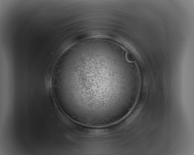 X0000100931281200806241357