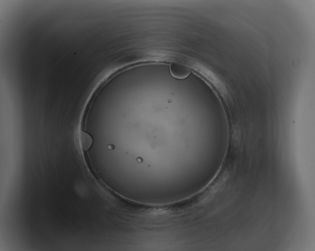 X0000100931283200806241357