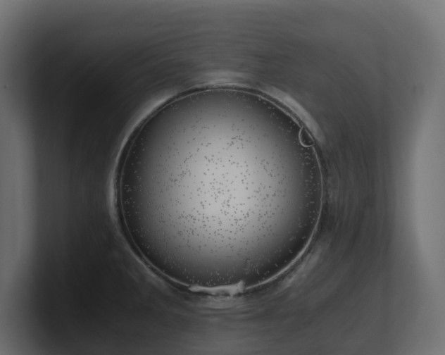 X0000100931285200806241357