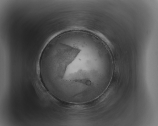 X0000100931287200806241357