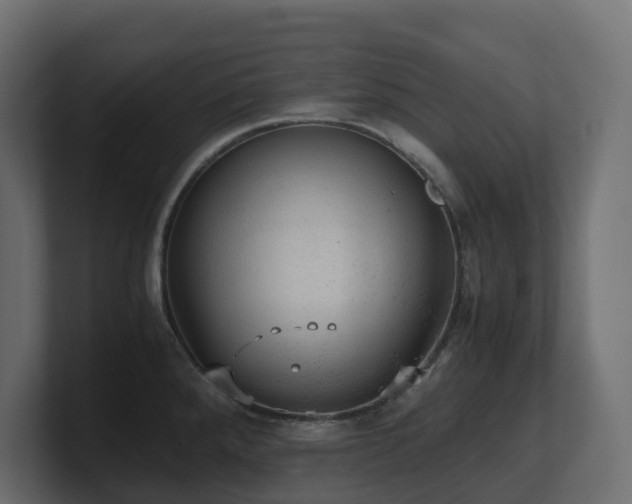 X0000100931288200806241357