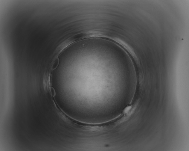 X0000100931289200806241357