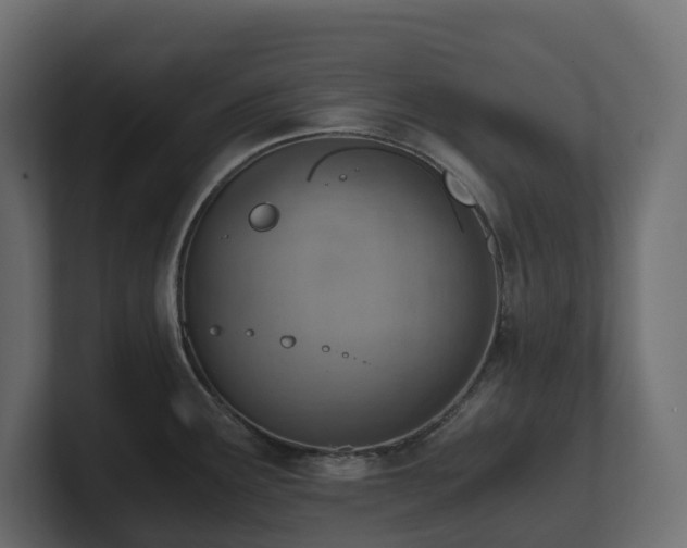 X0000100931291200806241357