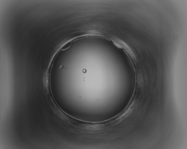 X0000100931292200806241357