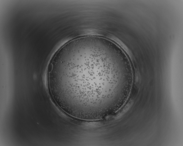 X0000100931293200806241357