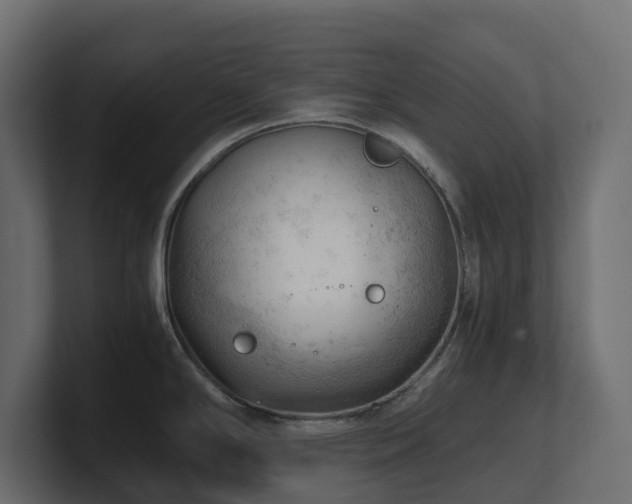 X0000100931294200806241357