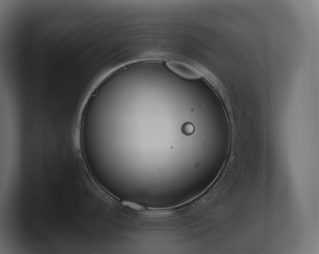 X0000100931296200806241357