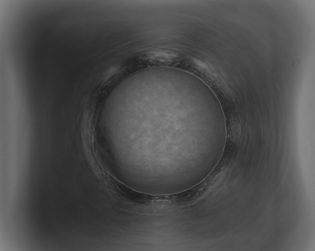 X0000100931297200806241356