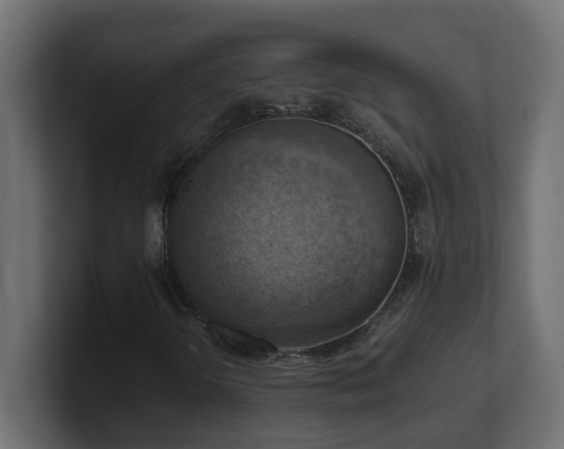 X0000100931298200806241356