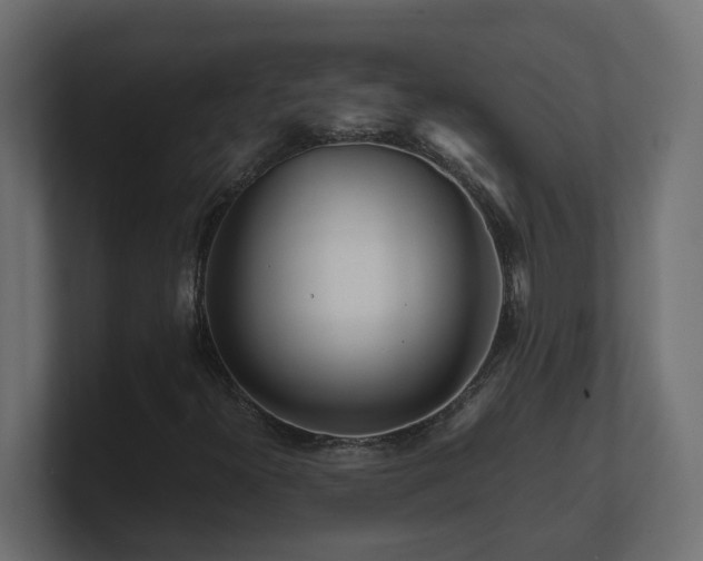 X0000100931300200806241356