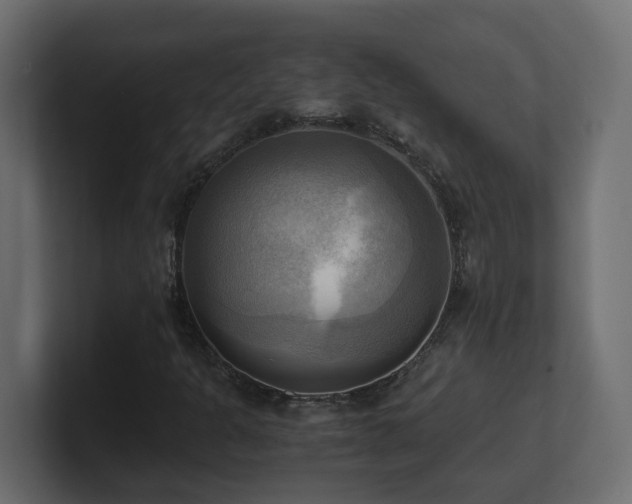 X0000100931301200806241356