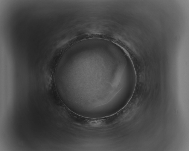 X0000100931303200806241356