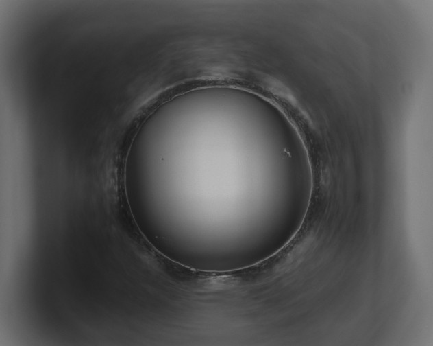 X0000100931304200806241356