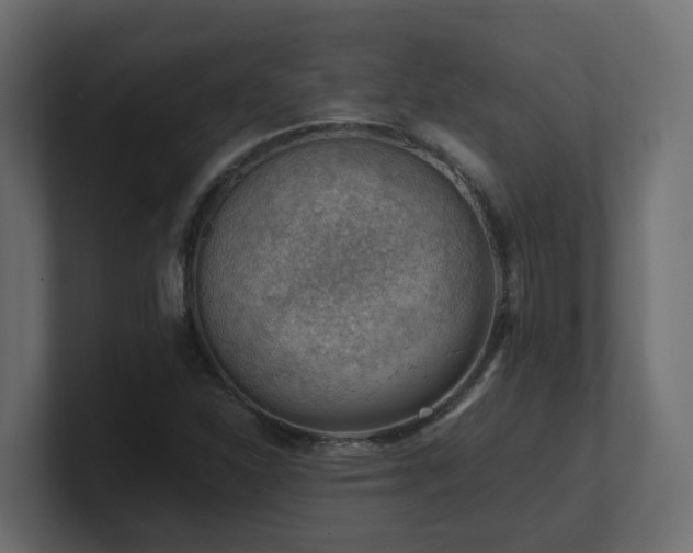 X0000100931310200806241357