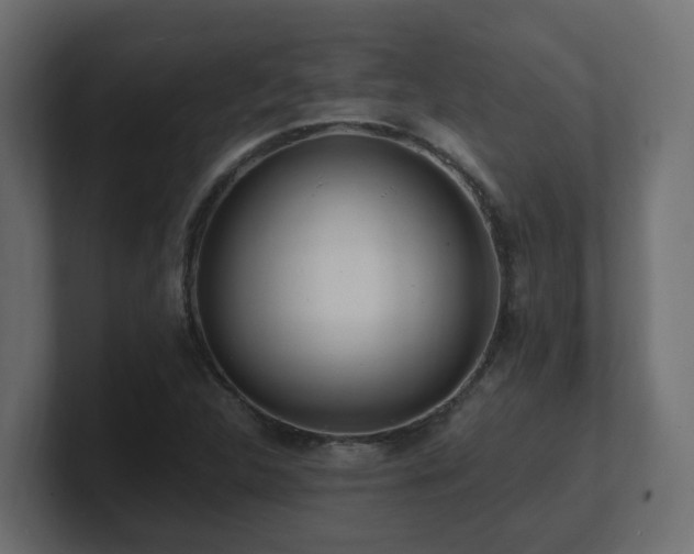 X0000100931312200806241357