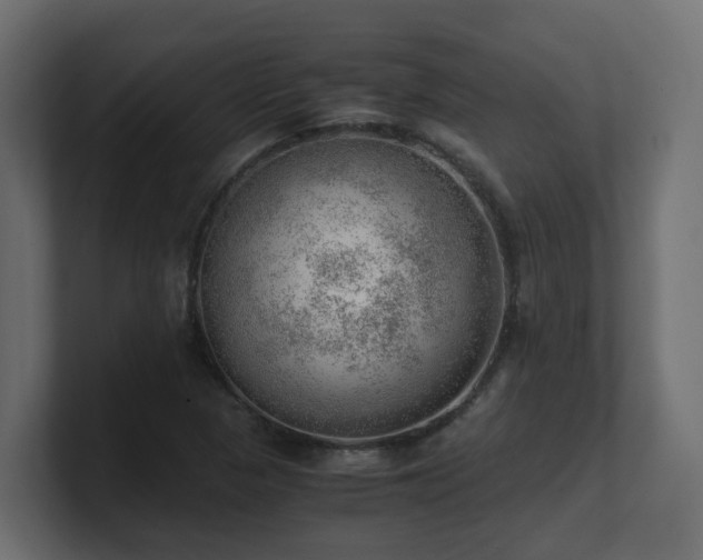 X0000100931313200806241357